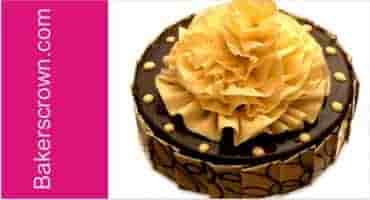 Choco-Delight-Cakes-in-gurgaon